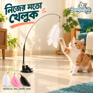 Tease Stick Feather Toy