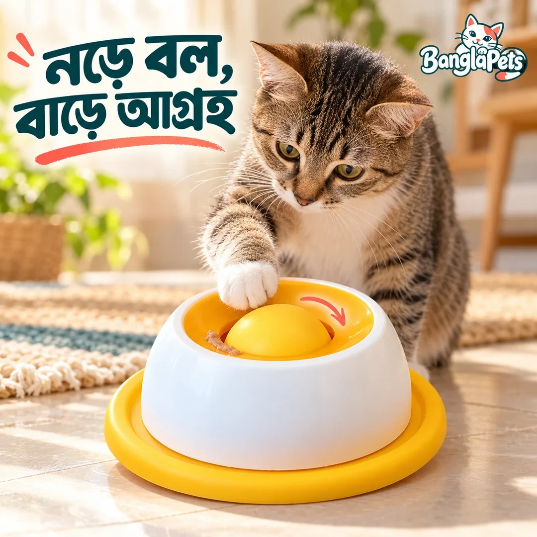 স্লো ফিডার + ২ টি ফ্রি ট্রিট