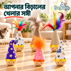 Cat Roly Poly Toy