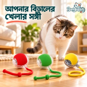 Rolling Ball Cat Toy