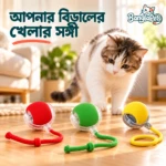 Rolling Ball Cat Toy
